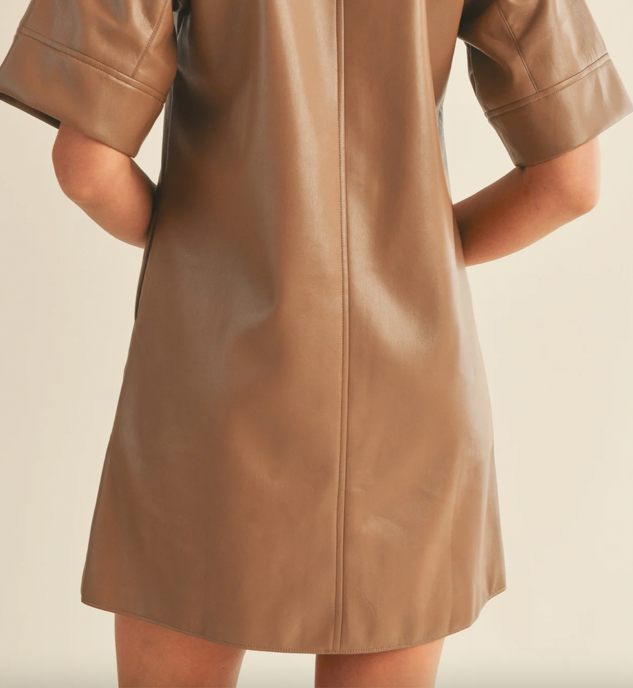 Tenia Button up Faux Leather Dress